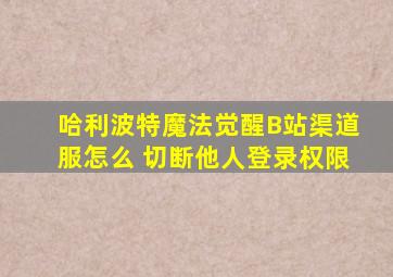 哈利波特魔法觉醒B站渠道服怎么 切断他人登录权限